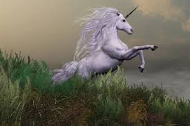 Uncovering the Magic of unicorndelight88: A World of Creativity, Fun, and Inspiration